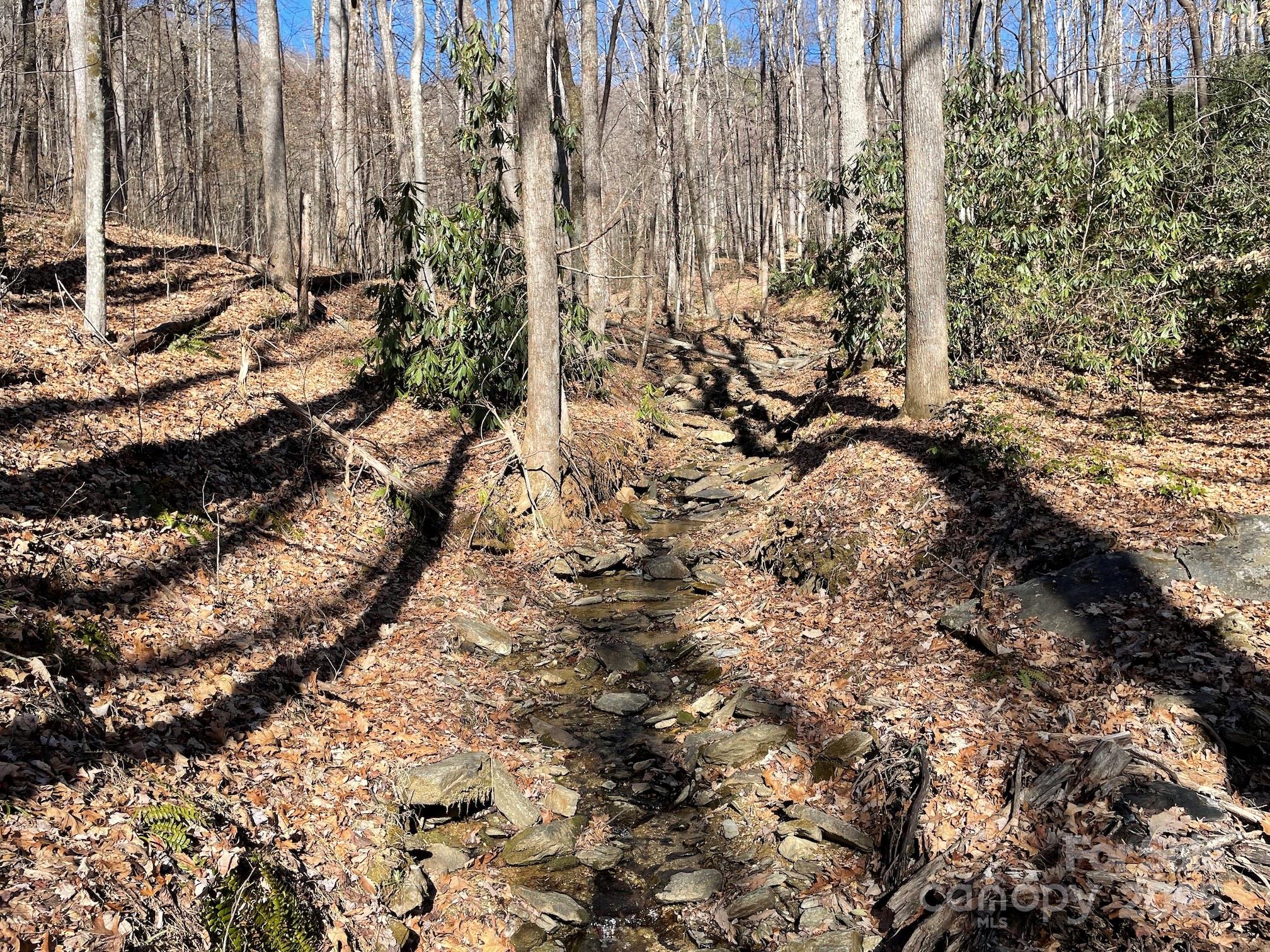 201 Ironwood Lane T-100 Property Photo 23