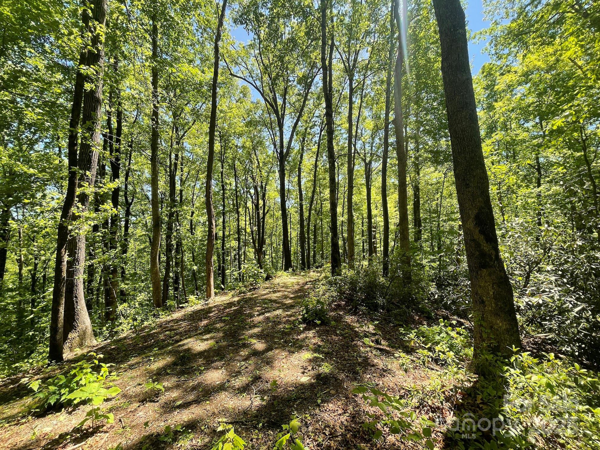 201 Ironwood Lane T-100 Property Photo 24