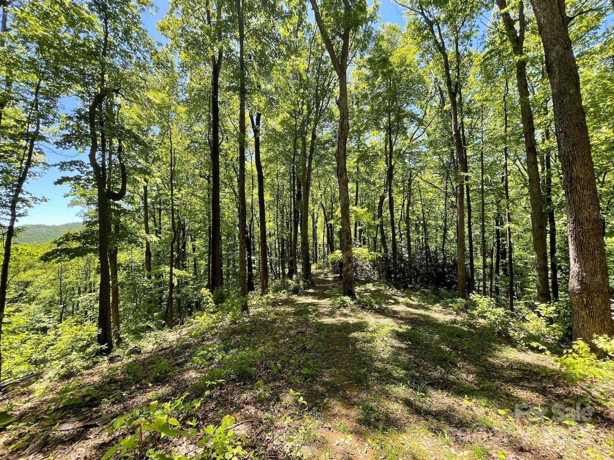 201 Ironwood Lane T-100 Property Photo 42