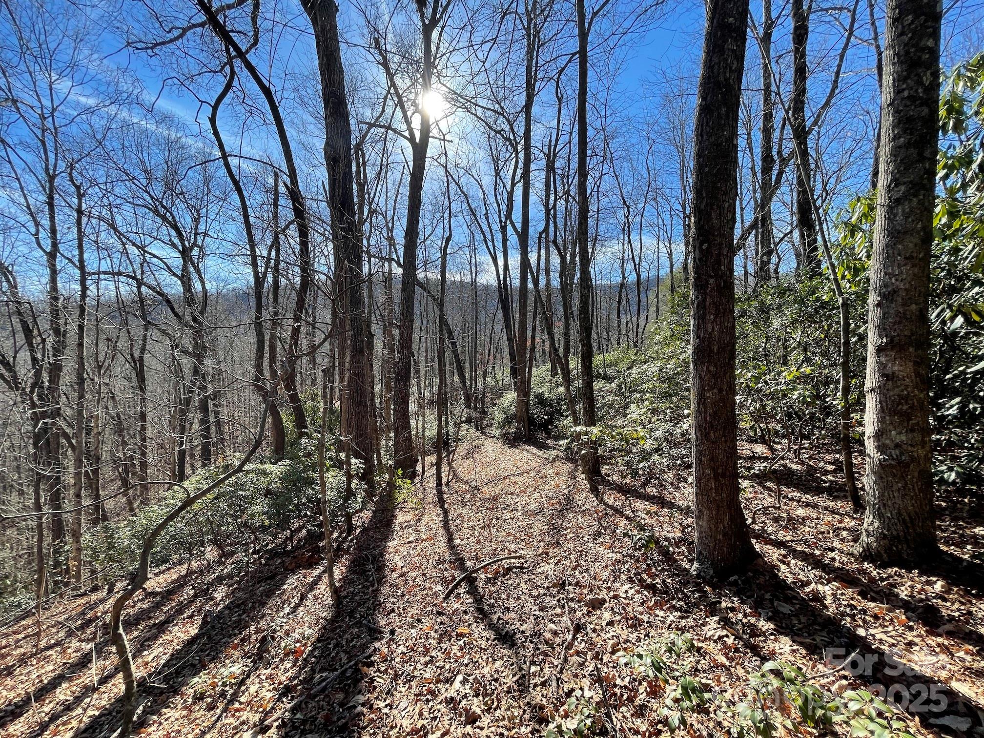 201 Ironwood Lane T-100 Property Photo 45