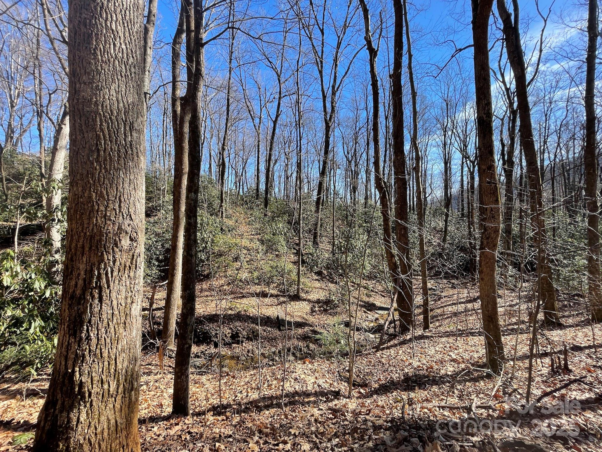 201 Ironwood Lane T-100 Property Photo 46