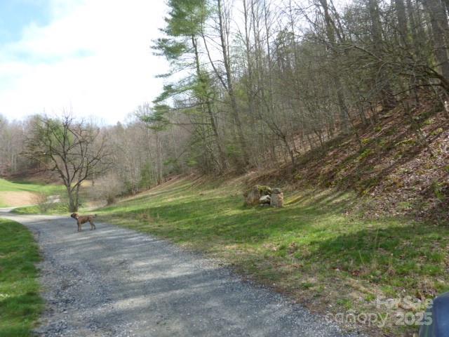 Tbd Joe Tweed Road Property Photo 5