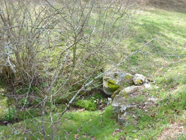 Tbd Joe Tweed Road Property Photo 7