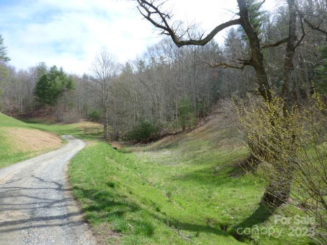 Tbd Joe Tweed Road Property Photo 8