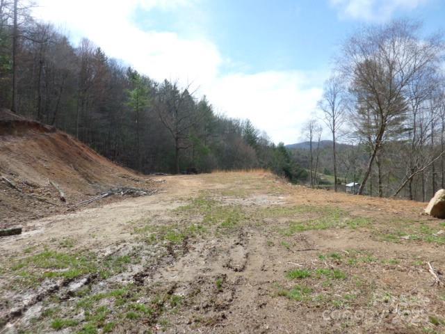 Tbd Joe Tweed Road Property Photo 12