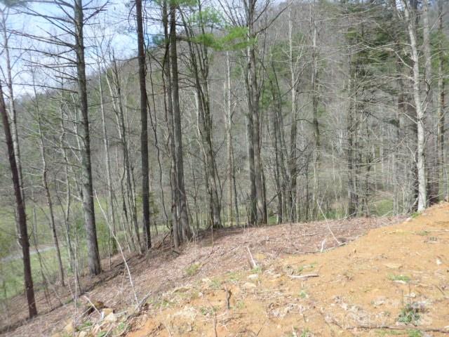 Tbd Joe Tweed Road Property Photo 13