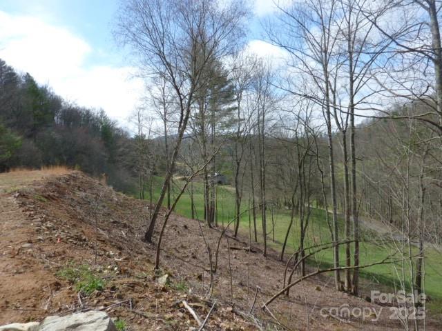 Tbd Joe Tweed Road Property Photo 14