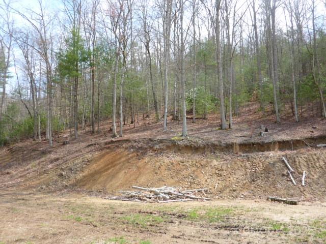 Tbd Joe Tweed Road Property Photo 16