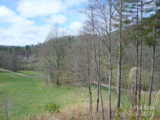 Tbd Joe Tweed Road Property Photo 19