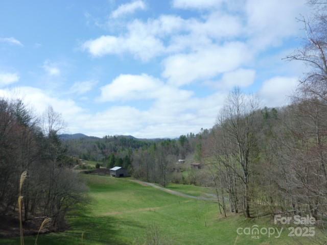 Tbd Joe Tweed Road Property Photo 21