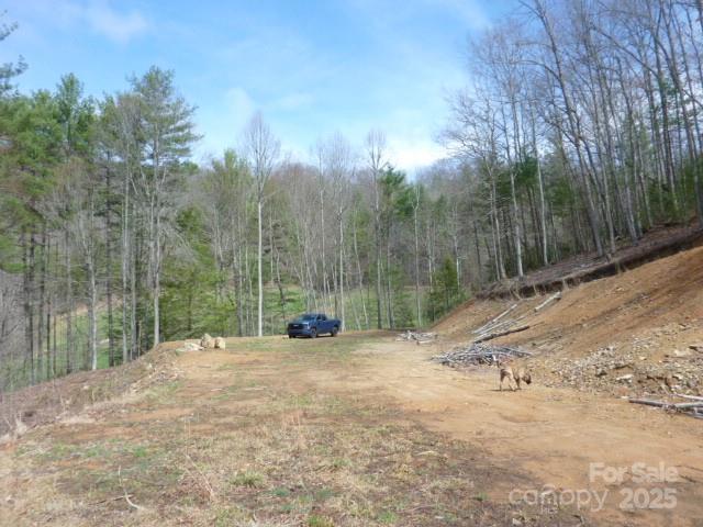 Tbd Joe Tweed Road Property Photo 22