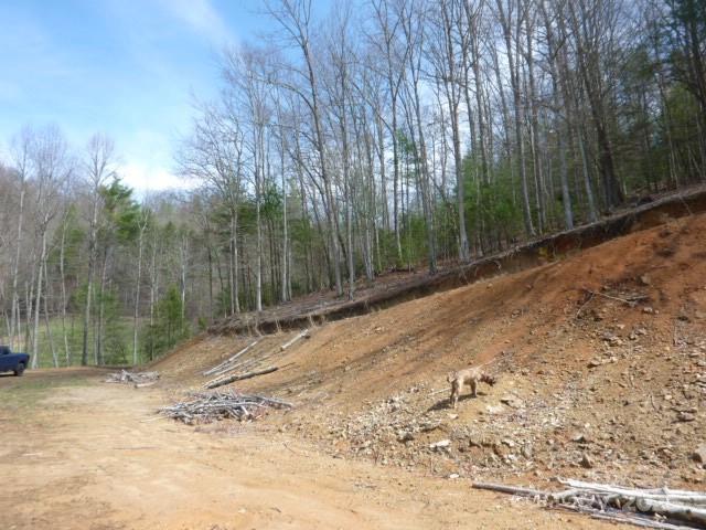 Tbd Joe Tweed Road Property Photo 24