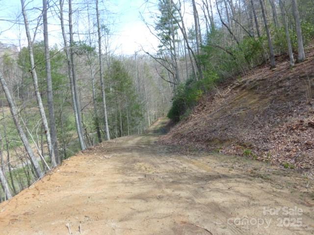 Tbd Joe Tweed Road Property Photo 25