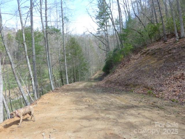 Tbd Joe Tweed Road Property Photo 26