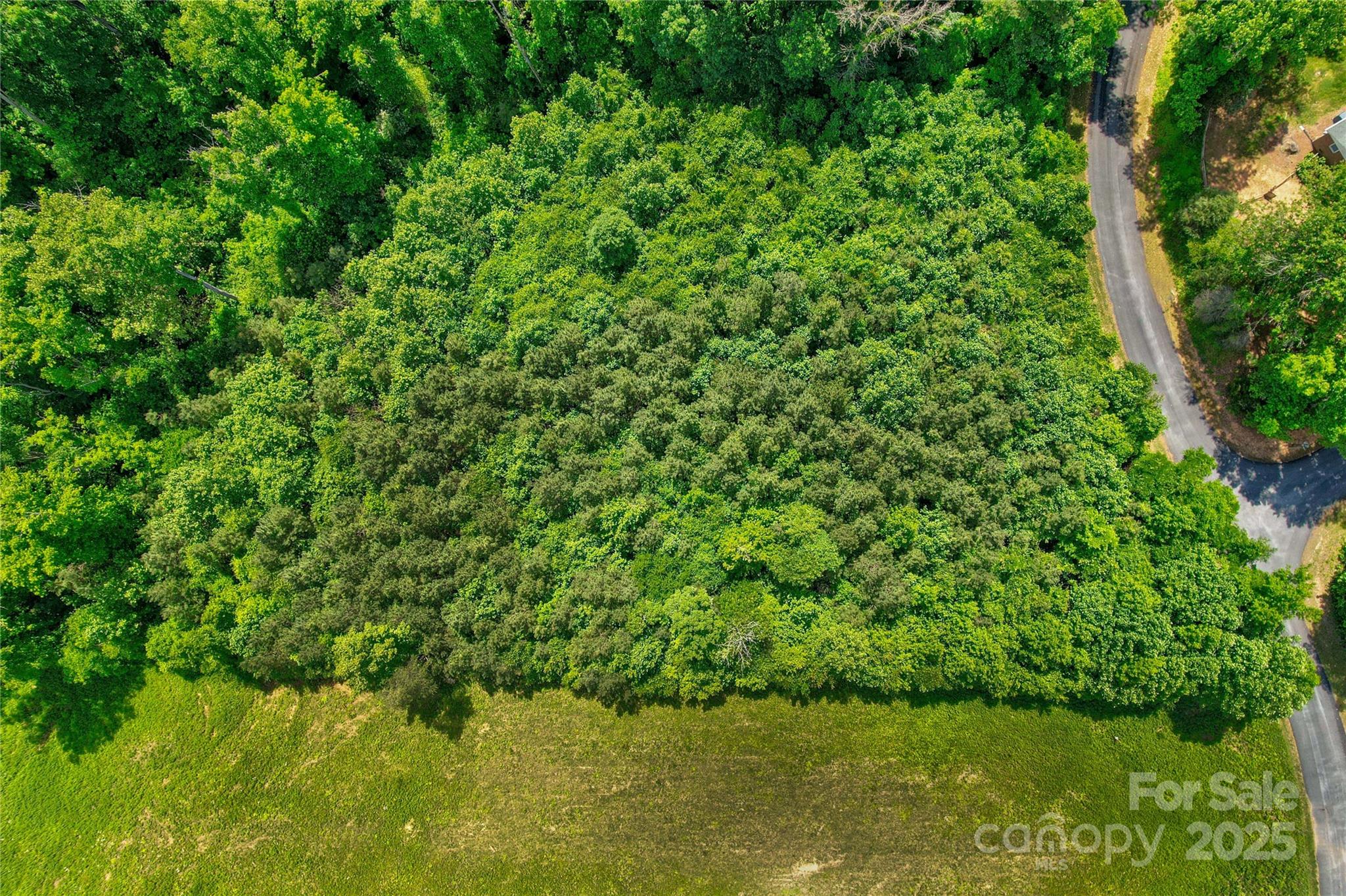 0 Catawba Drive Property Photo 28