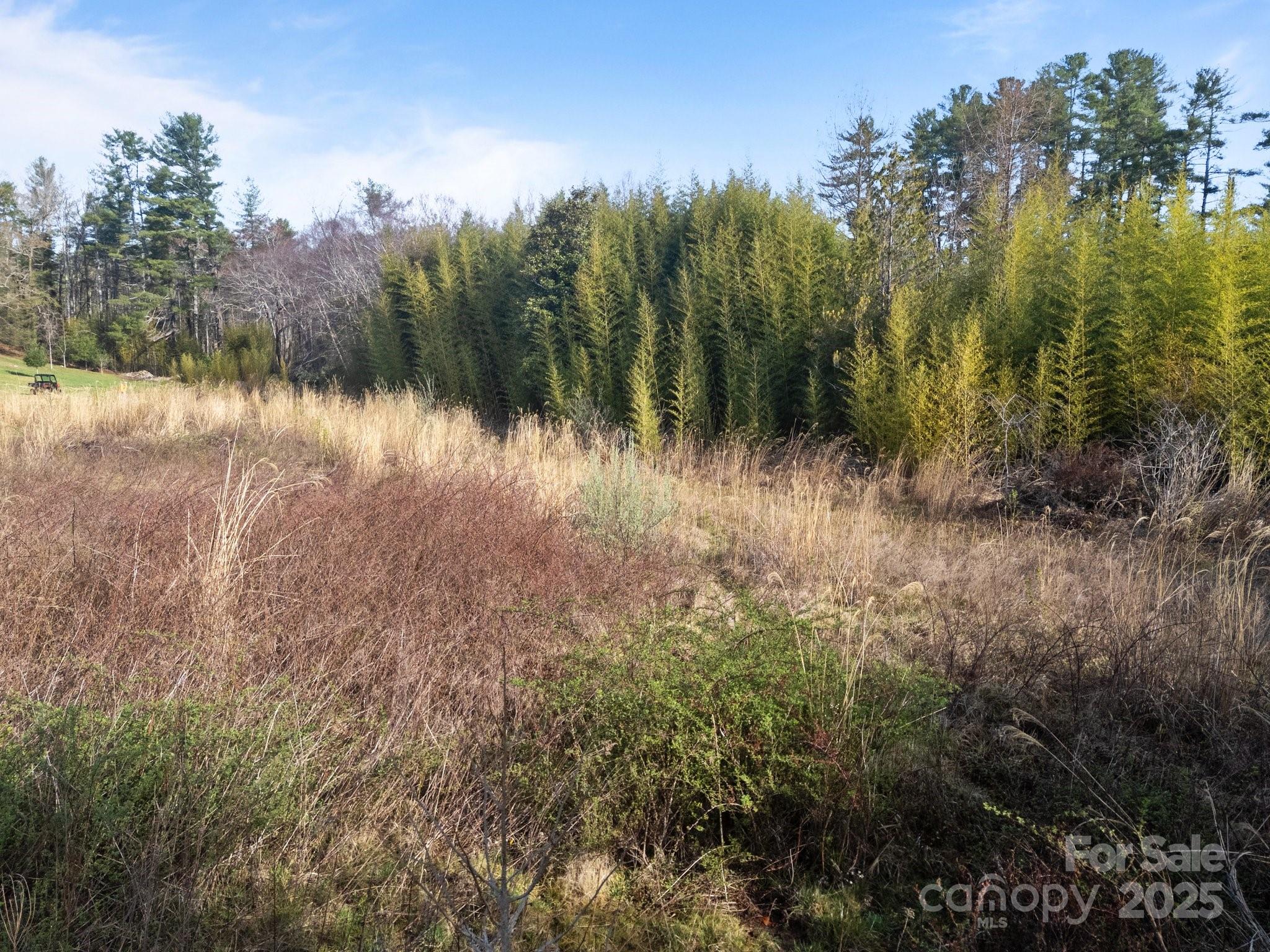193 Montevilla Drive Property Photo 12