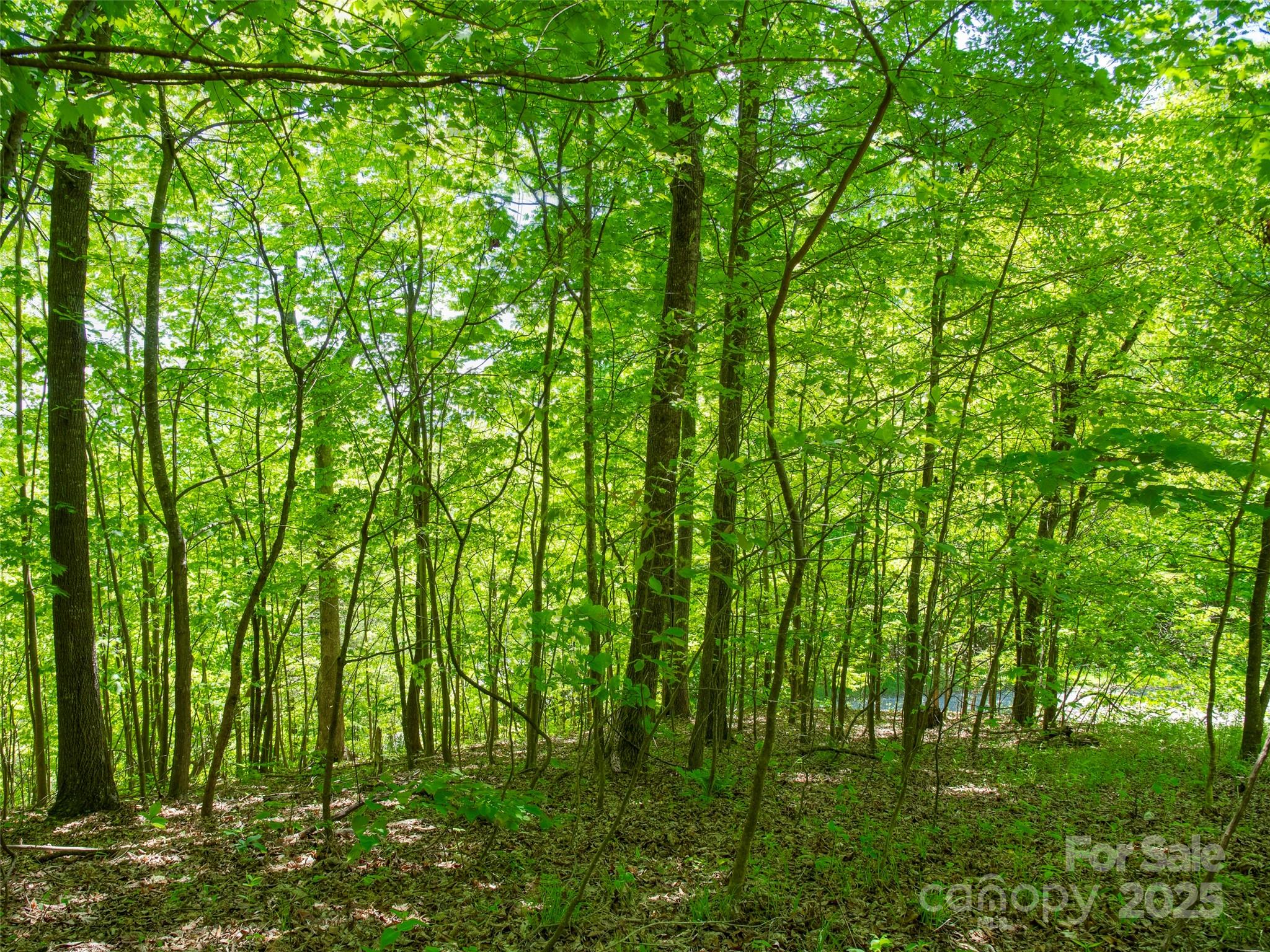 +/- 1.85 Acres Pinnacle Parkway 48 Property Photo 3
