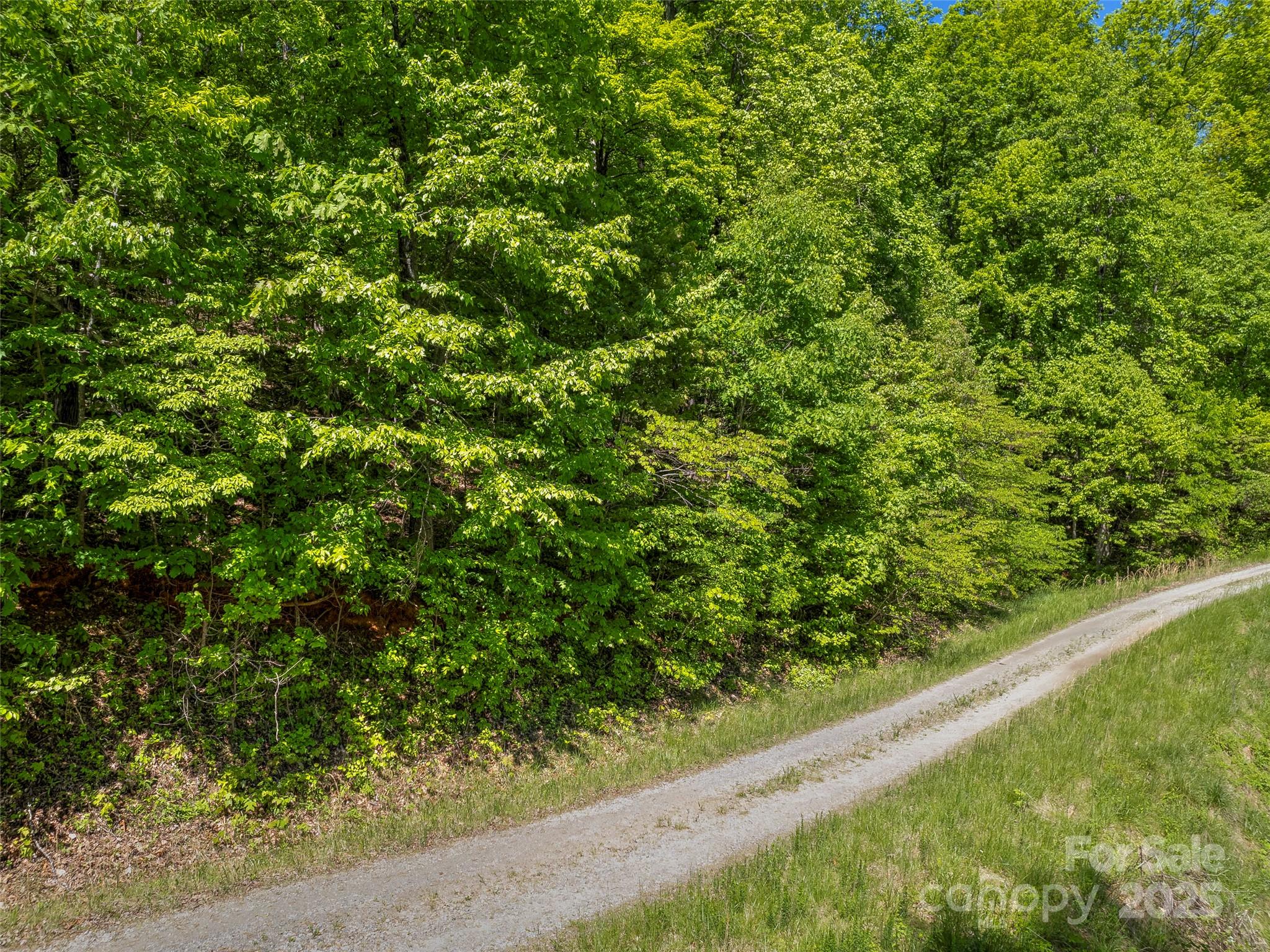 +/- 1.85 Acres Pinnacle Parkway 48 Property Photo 4