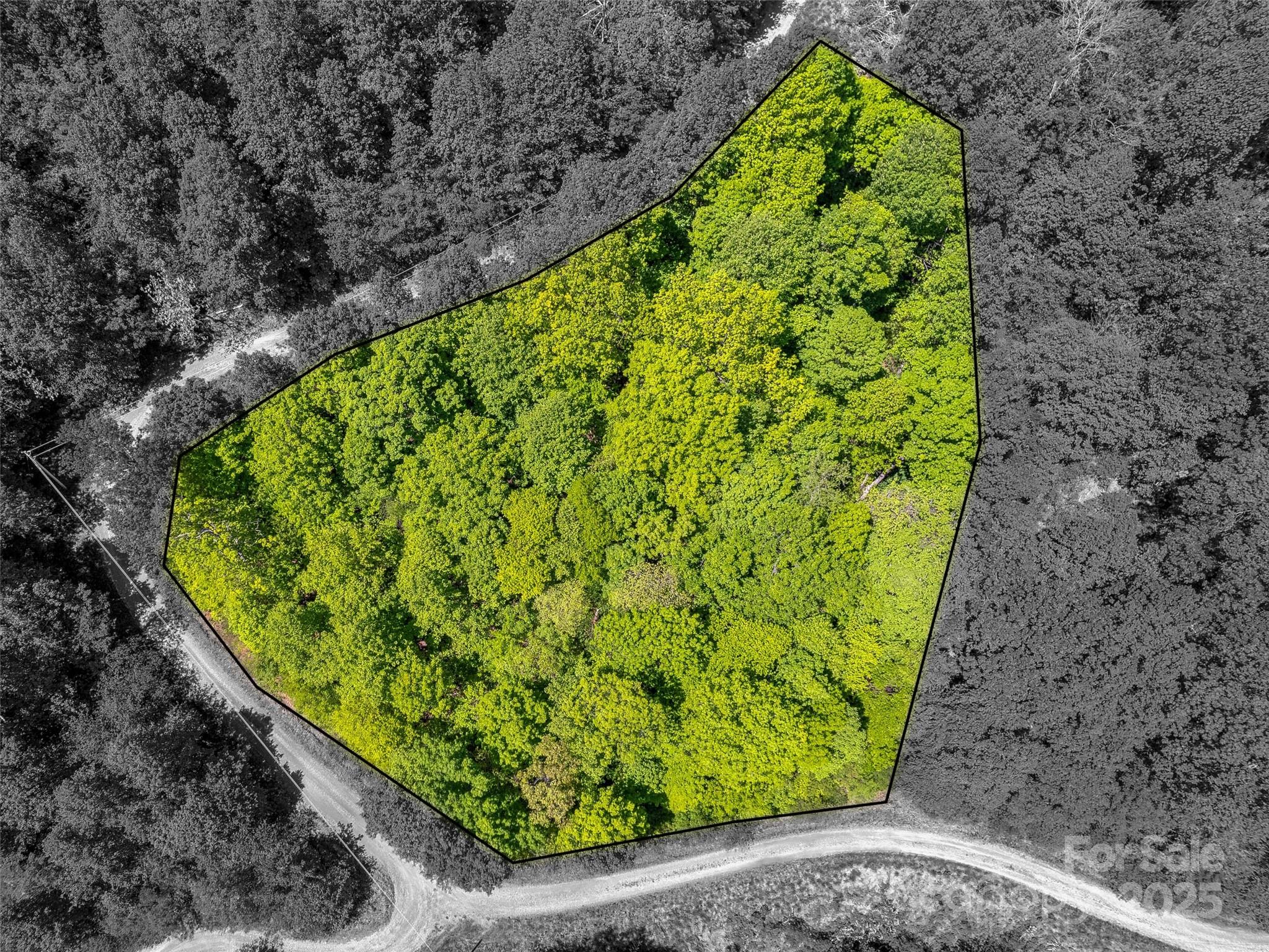 +/- 1.85 Acres Pinnacle Parkway 48 Property Photo 5