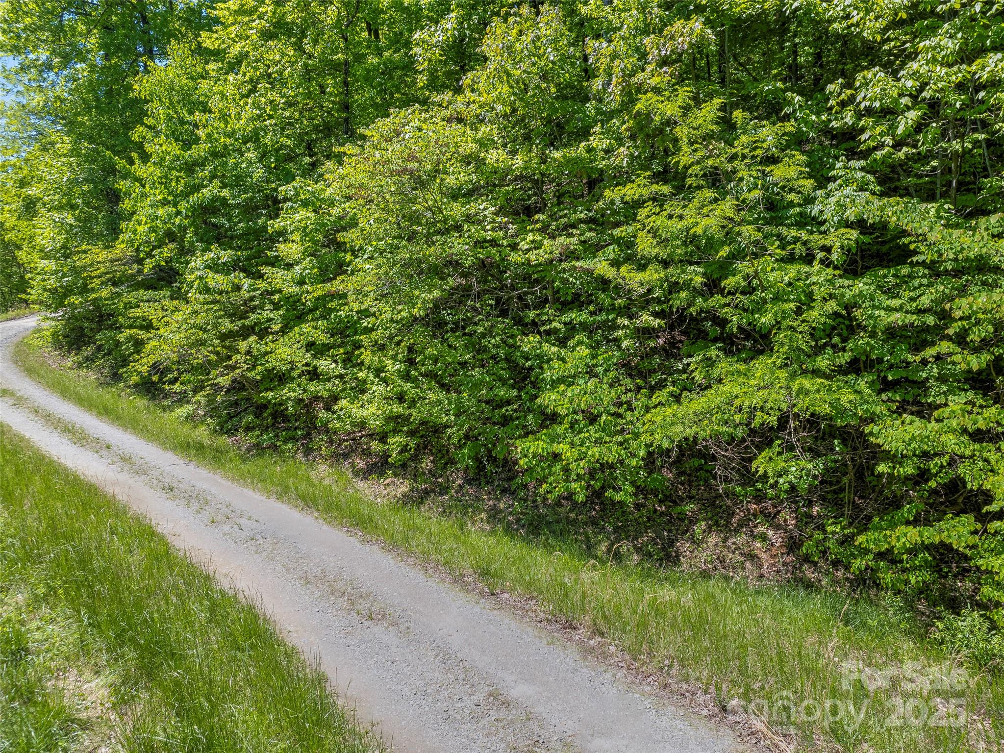 +/- 1.85 Acres Pinnacle Parkway 48 Property Photo 6