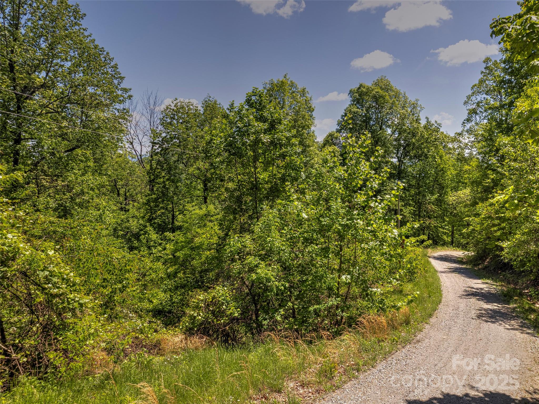 +/- 1.85 Acres Pinnacle Parkway 48 Property Photo 8