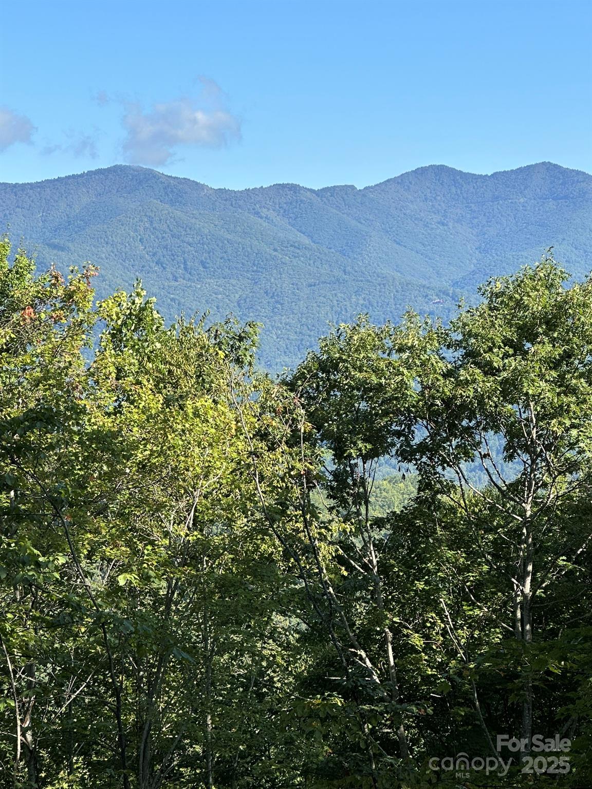142 Old Growth Way 58 Property Photo 4