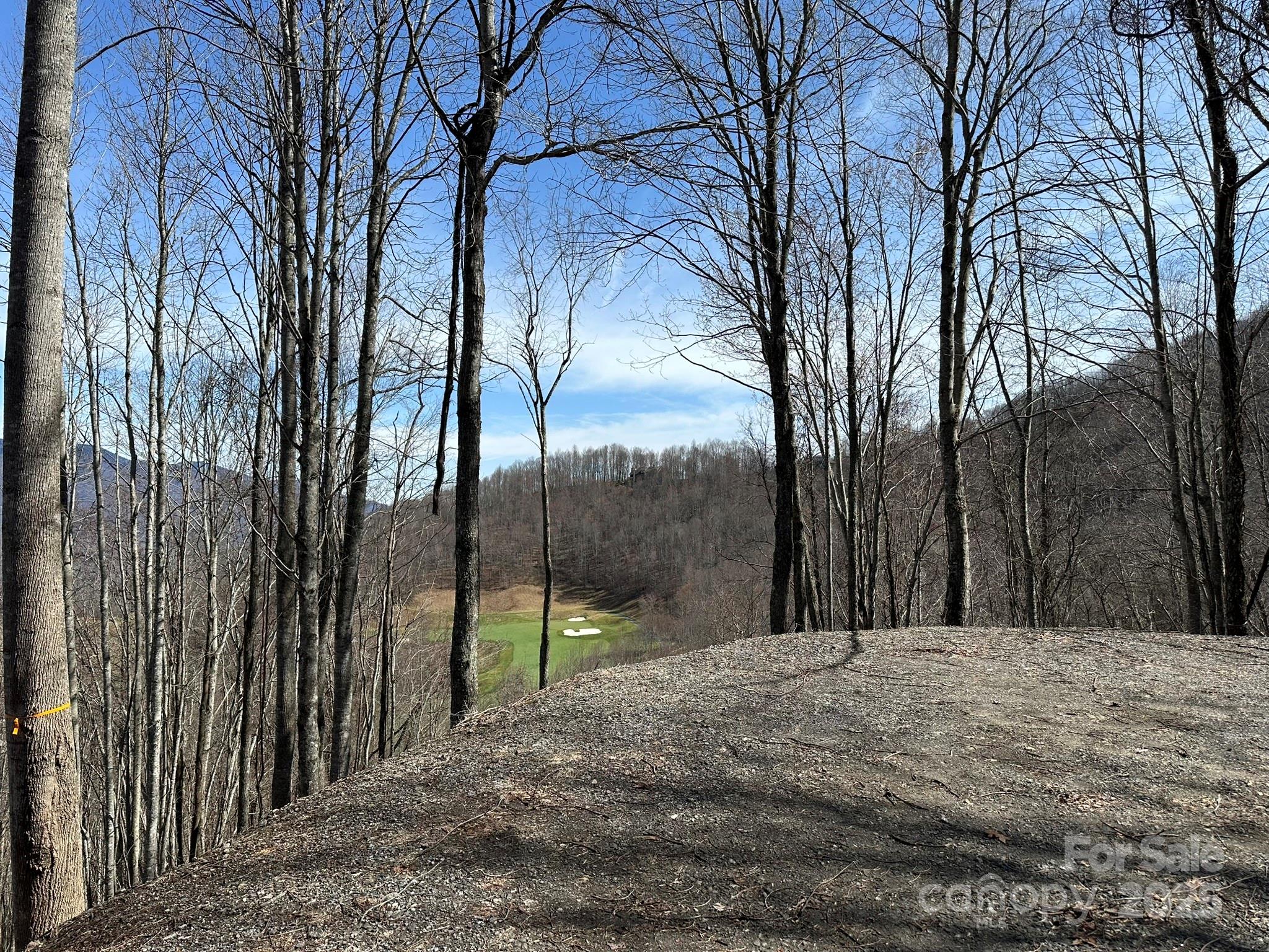 142 Old Growth Way 58 Property Photo 8