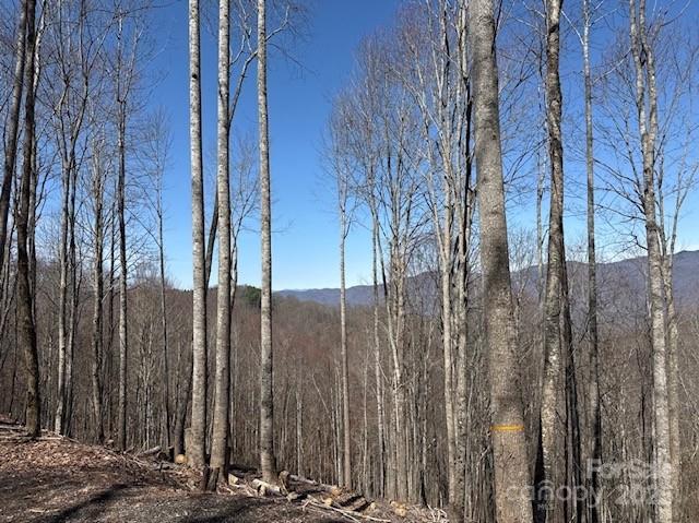 142 Old Growth Way 58 Property Photo 10