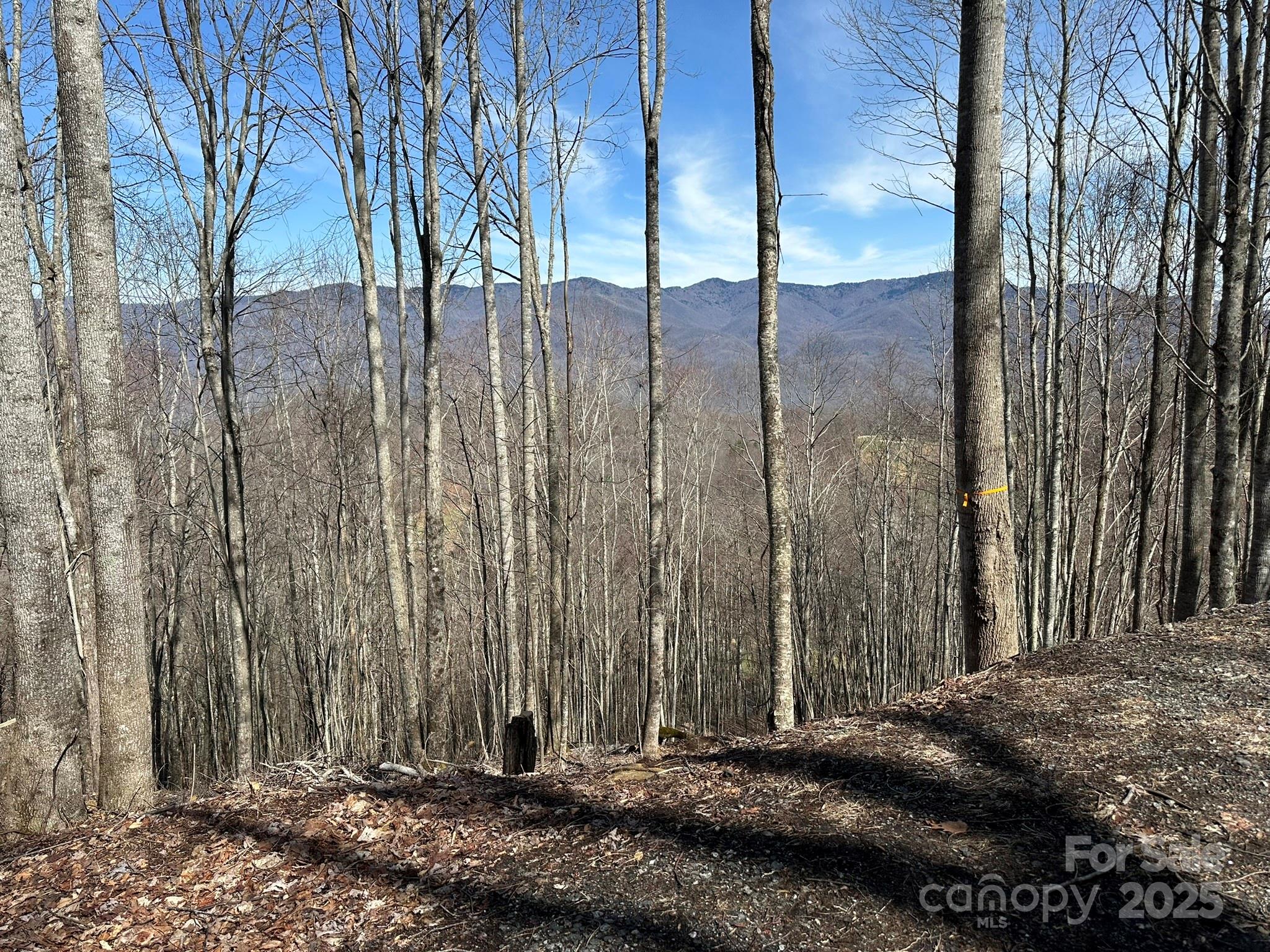 142 Old Growth Way 58 Property Photo 11