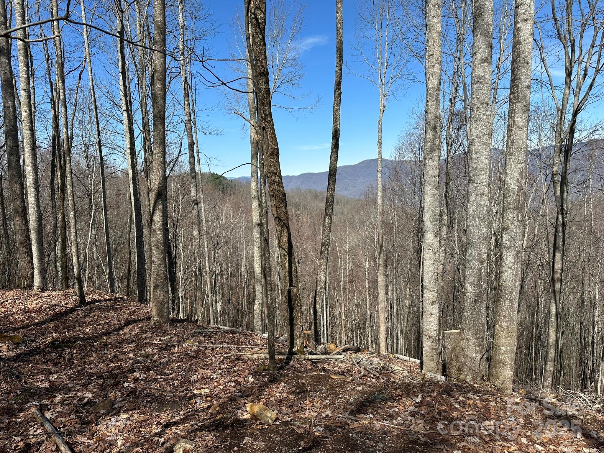 142 Old Growth Way 58 Property Photo 12