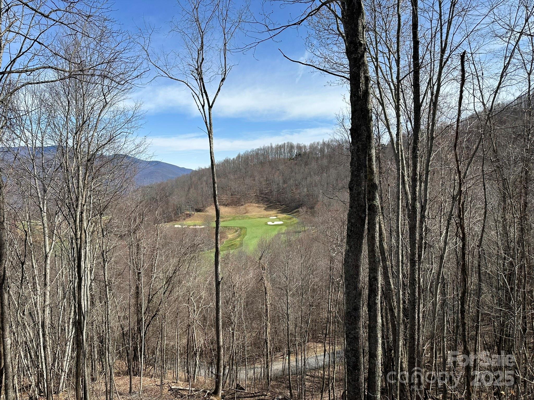 142 Old Growth Way 58 Property Photo 14