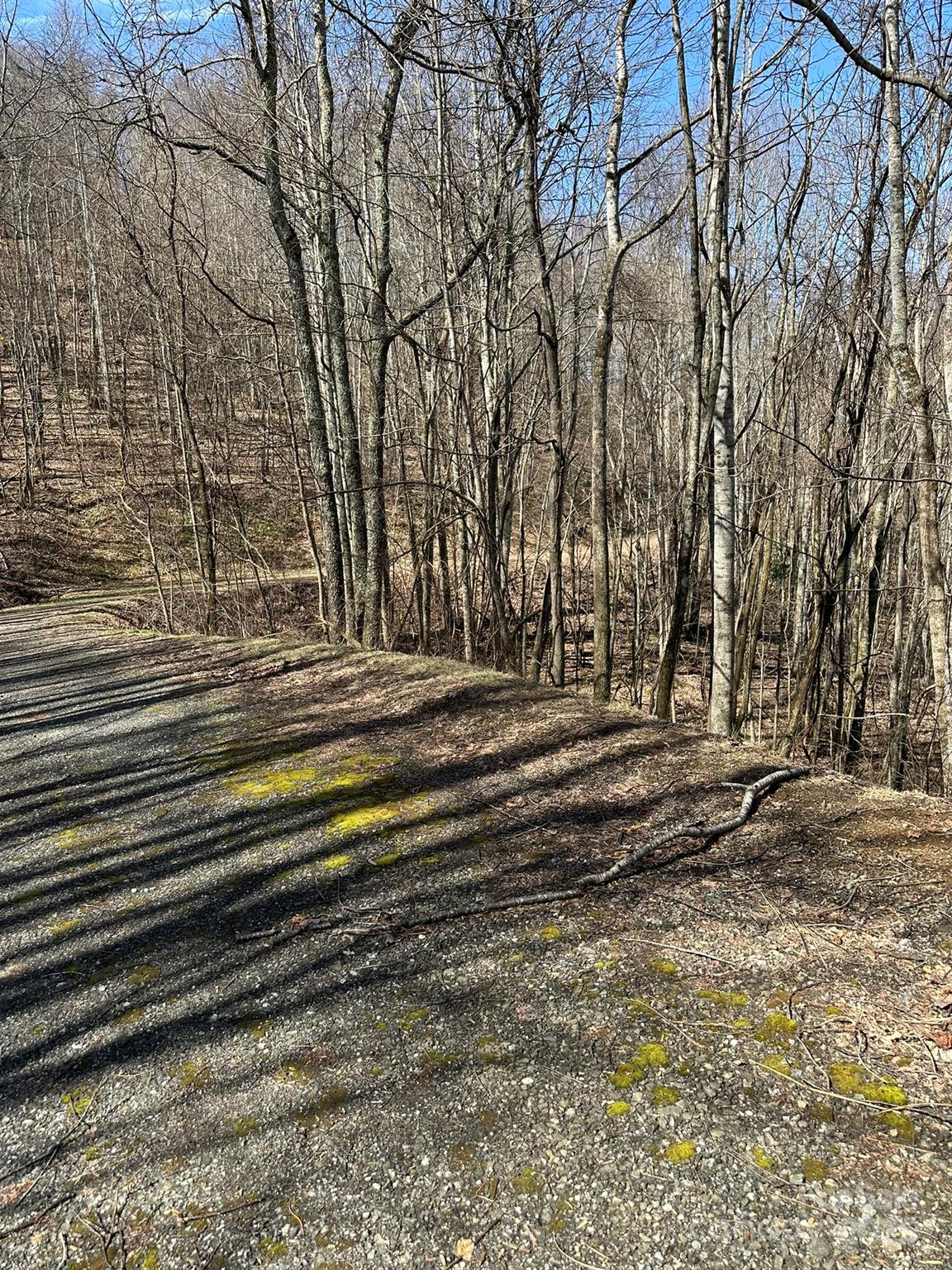 142 Old Growth Way 58 Property Photo 17