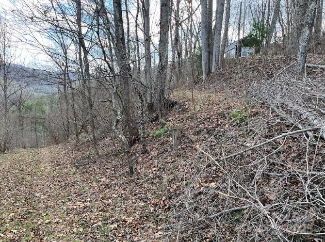 0000 Everidge Drive Property Photo 3