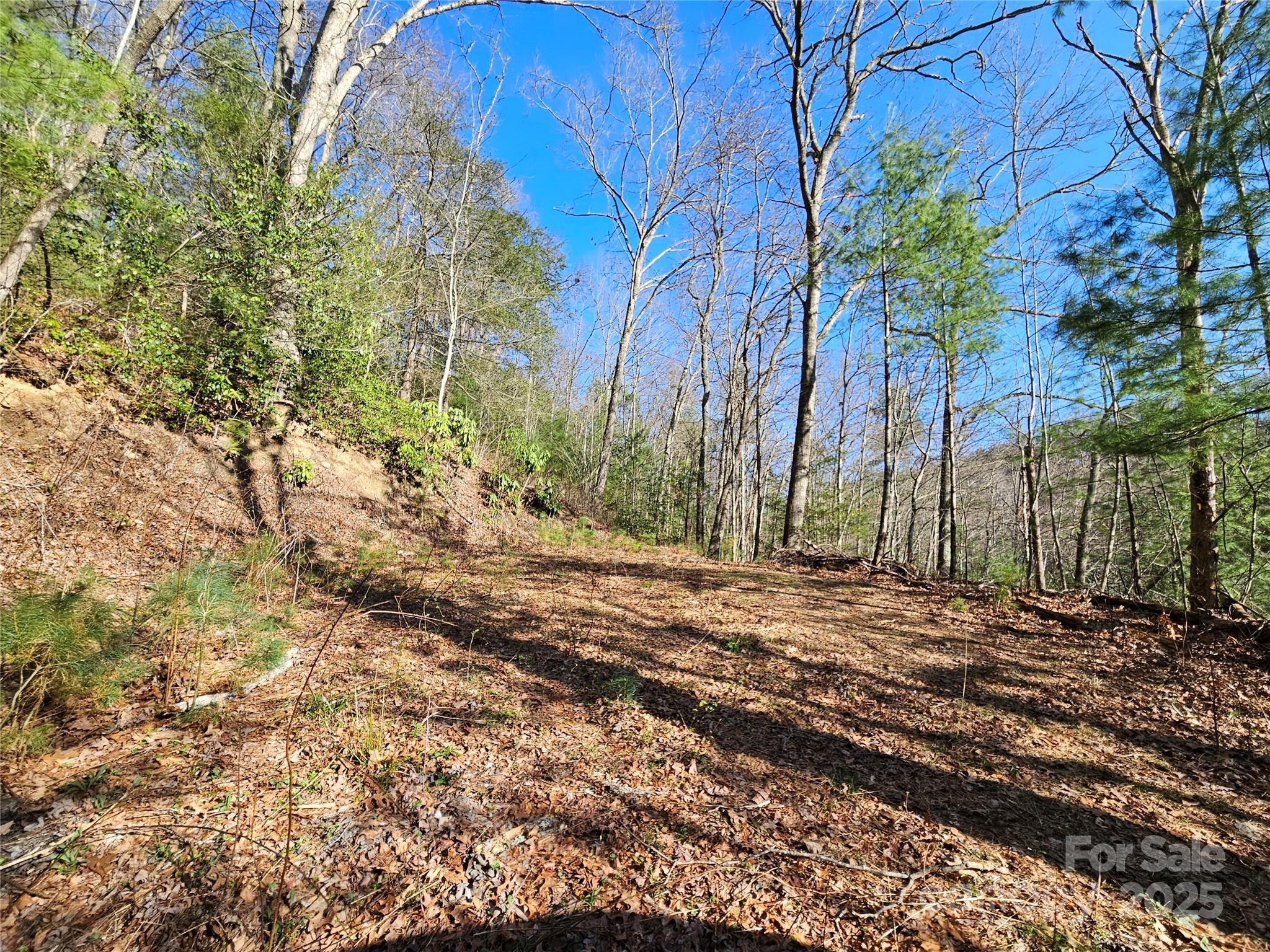 0 Laurel Branch Road Property Photo 1