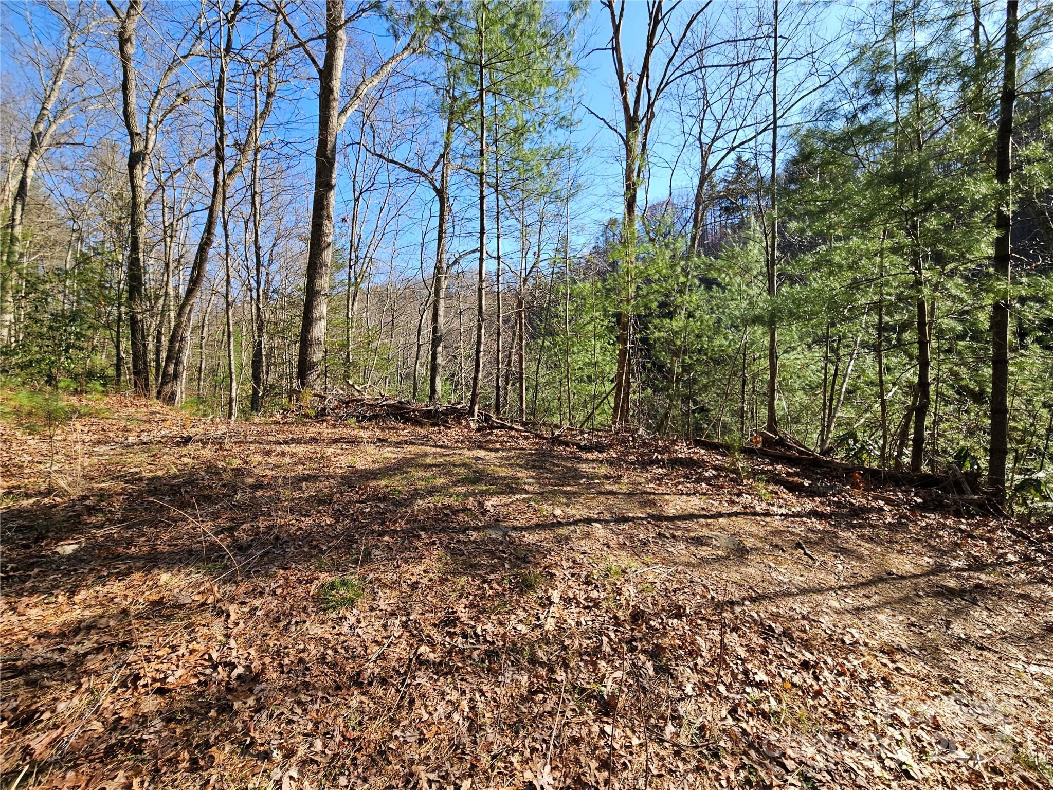 0 Laurel Branch Road Property Photo 2