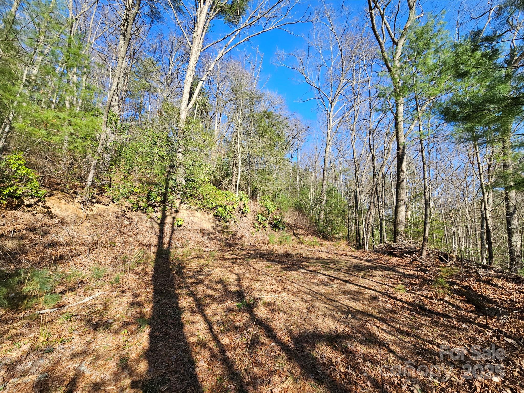 0 Laurel Branch Road Property Photo 4