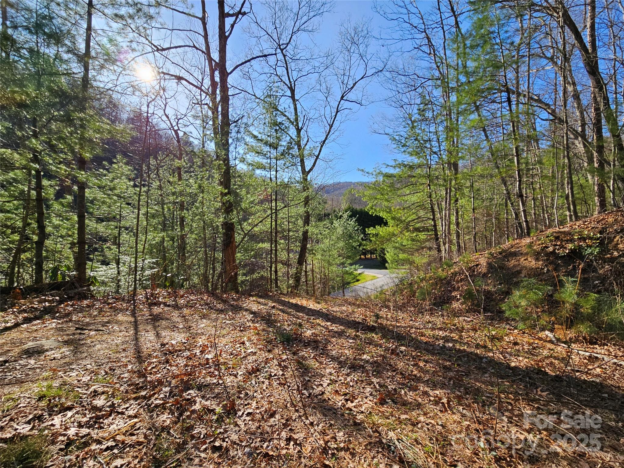 0 Laurel Branch Road Property Photo 5