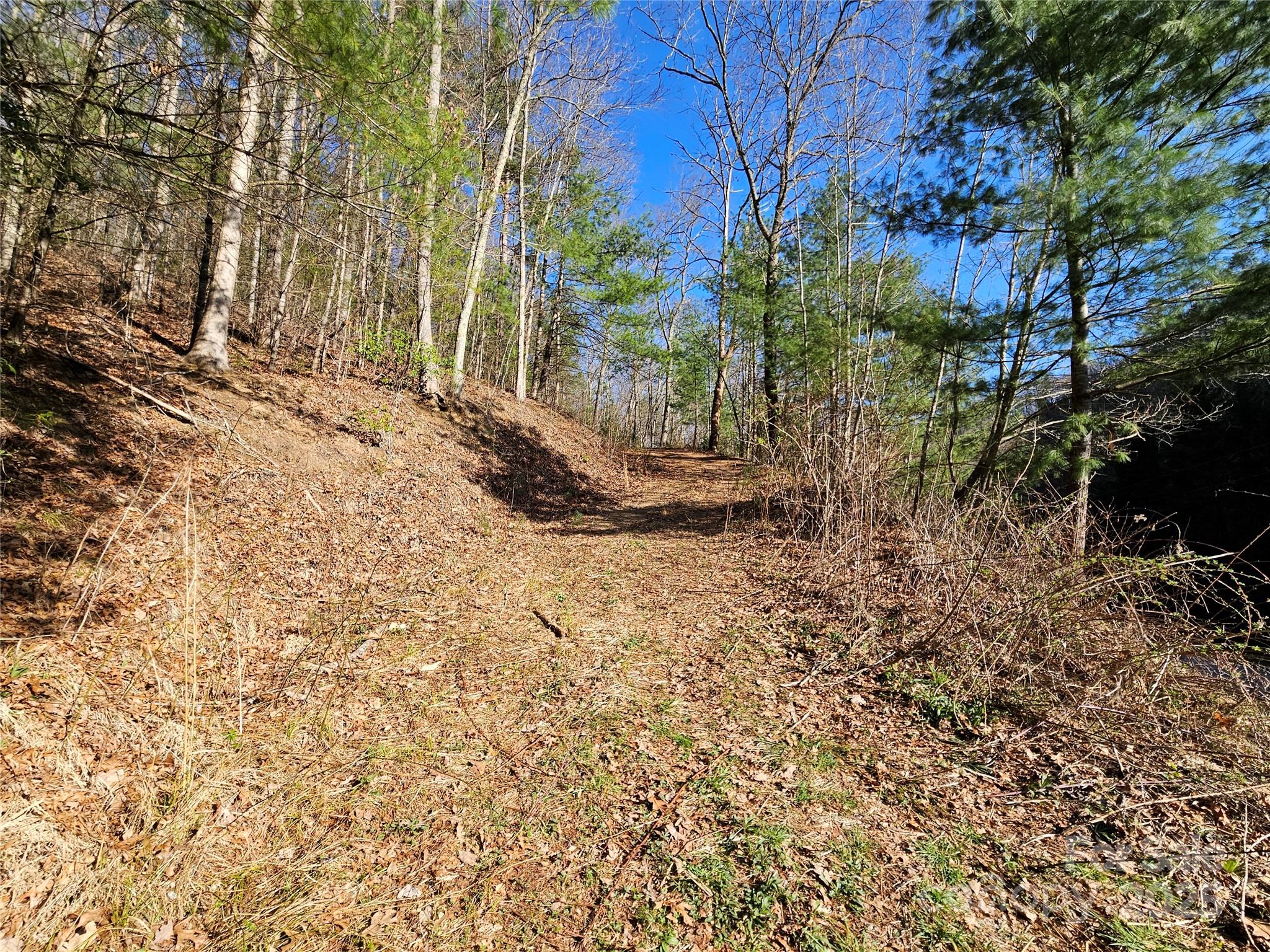 0 Laurel Branch Road Property Photo 6