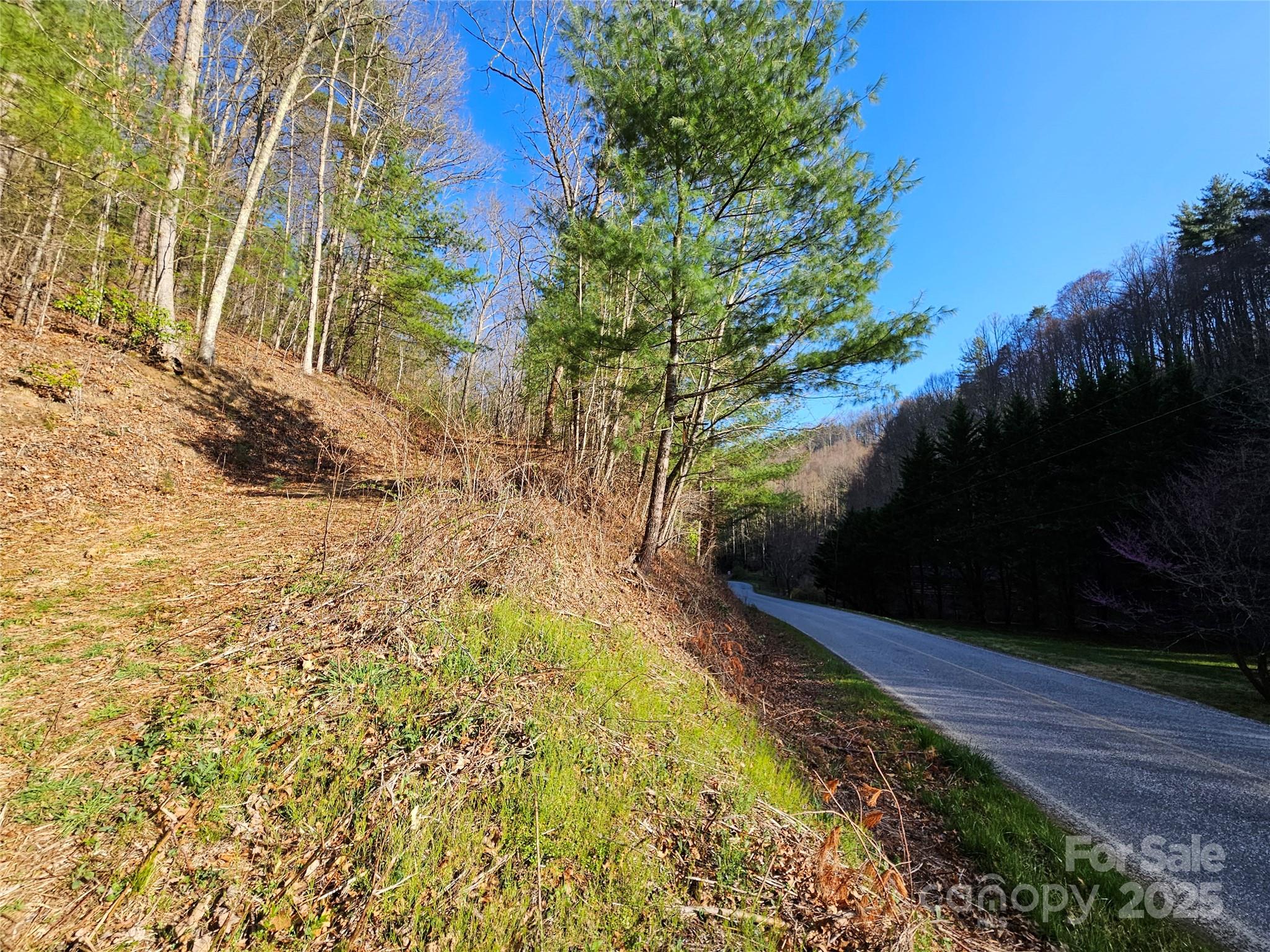 0 Laurel Branch Road Property Photo 7