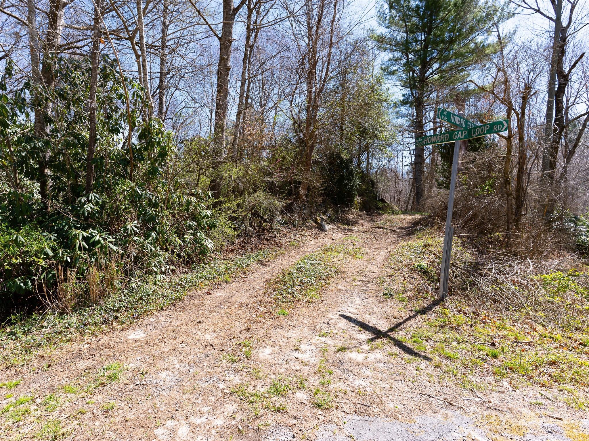 8099 Howard Gap Road Property Photo 3