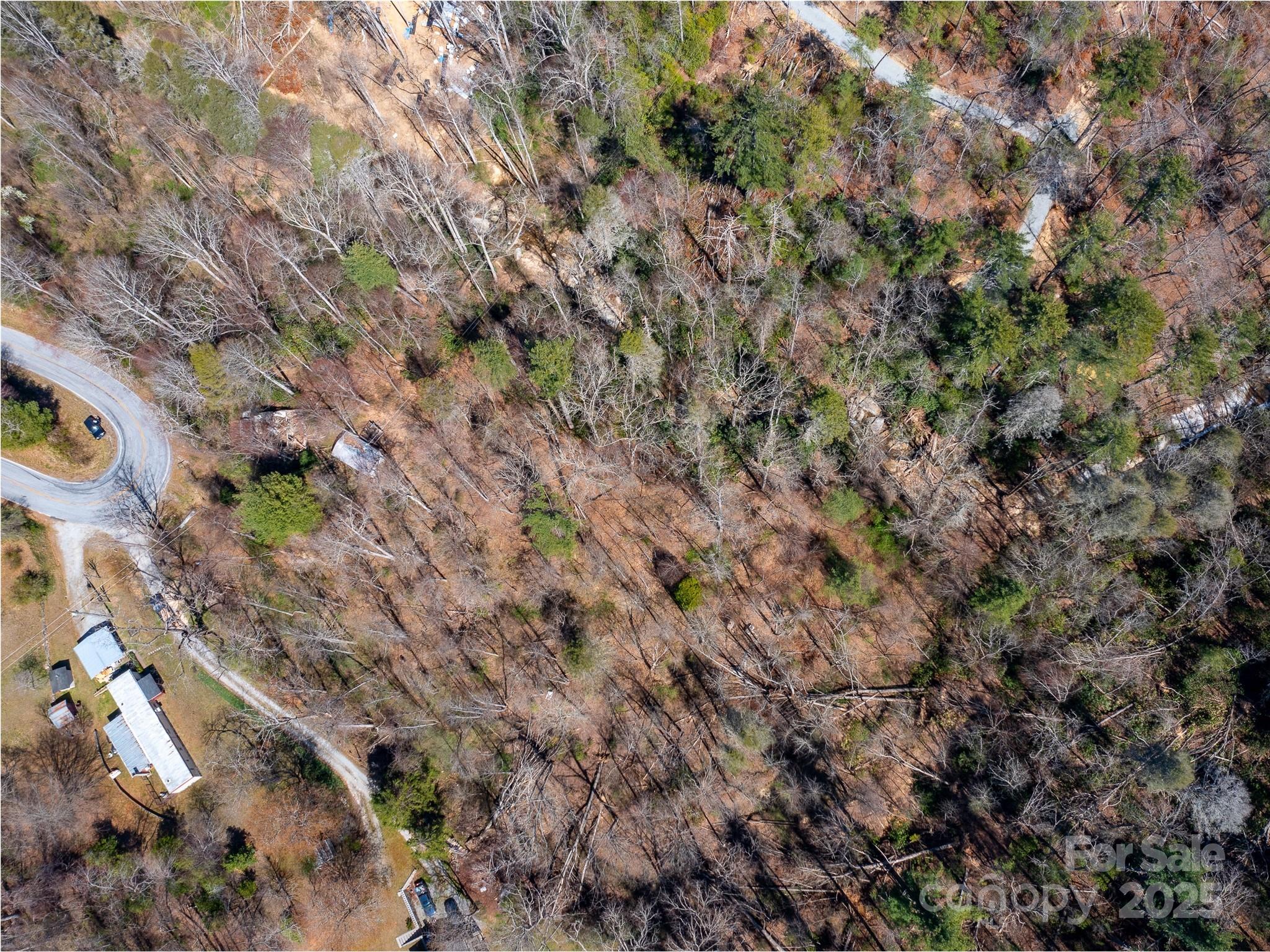 8099 Howard Gap Road Property Photo 7