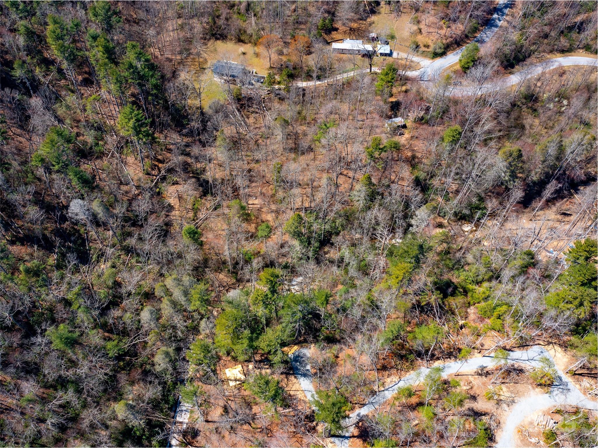 8099 Howard Gap Road Property Photo 12