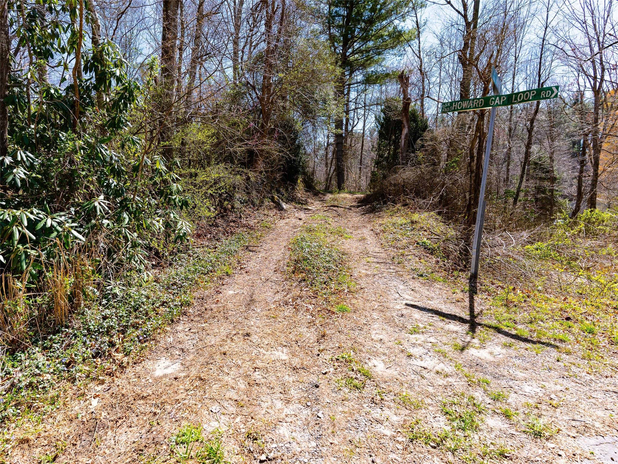 8099 Howard Gap Road Property Photo 14