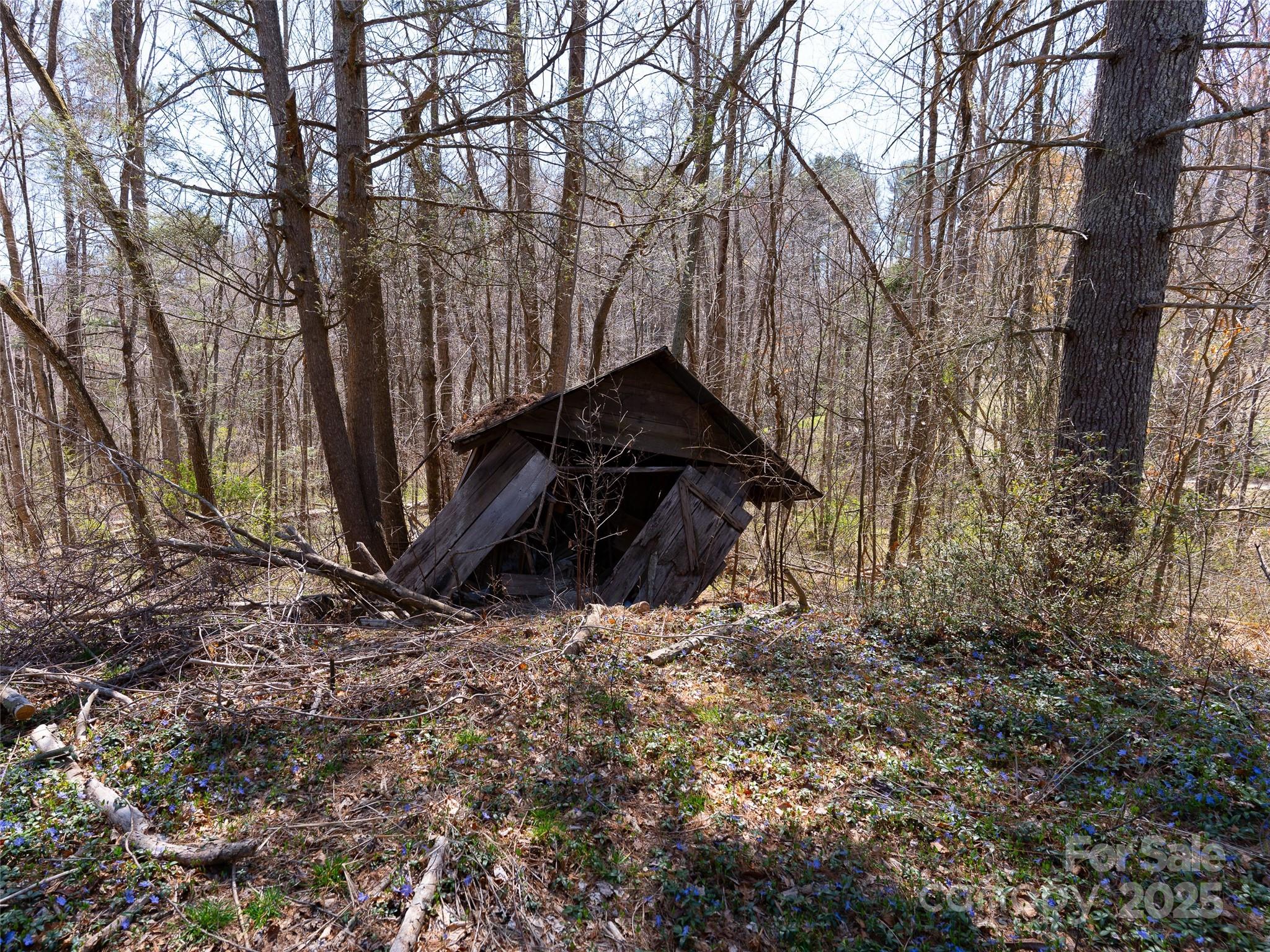 8099 Howard Gap Road Property Photo 17