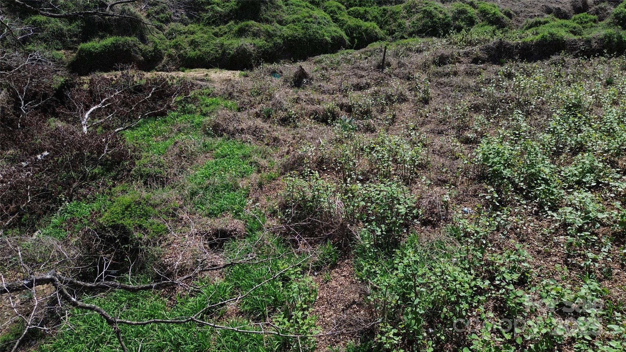 99999 Thole Street Property Photo 4