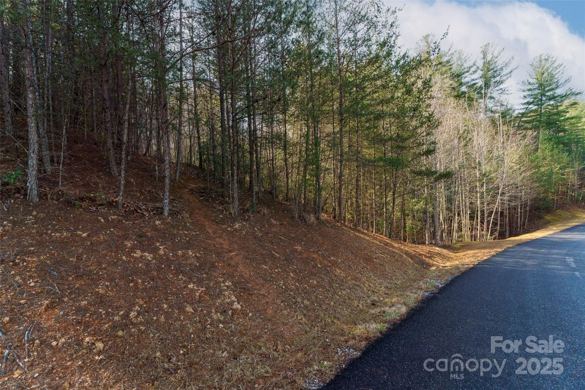 265 Harborside Drive Property Photo 8