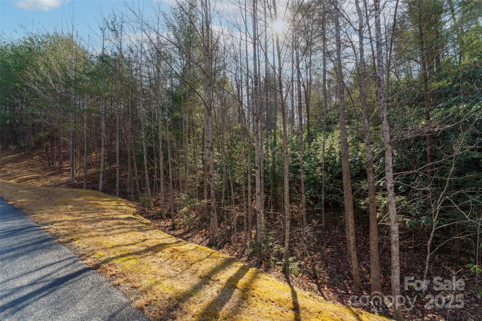 265 Harborside Drive Property Photo 9
