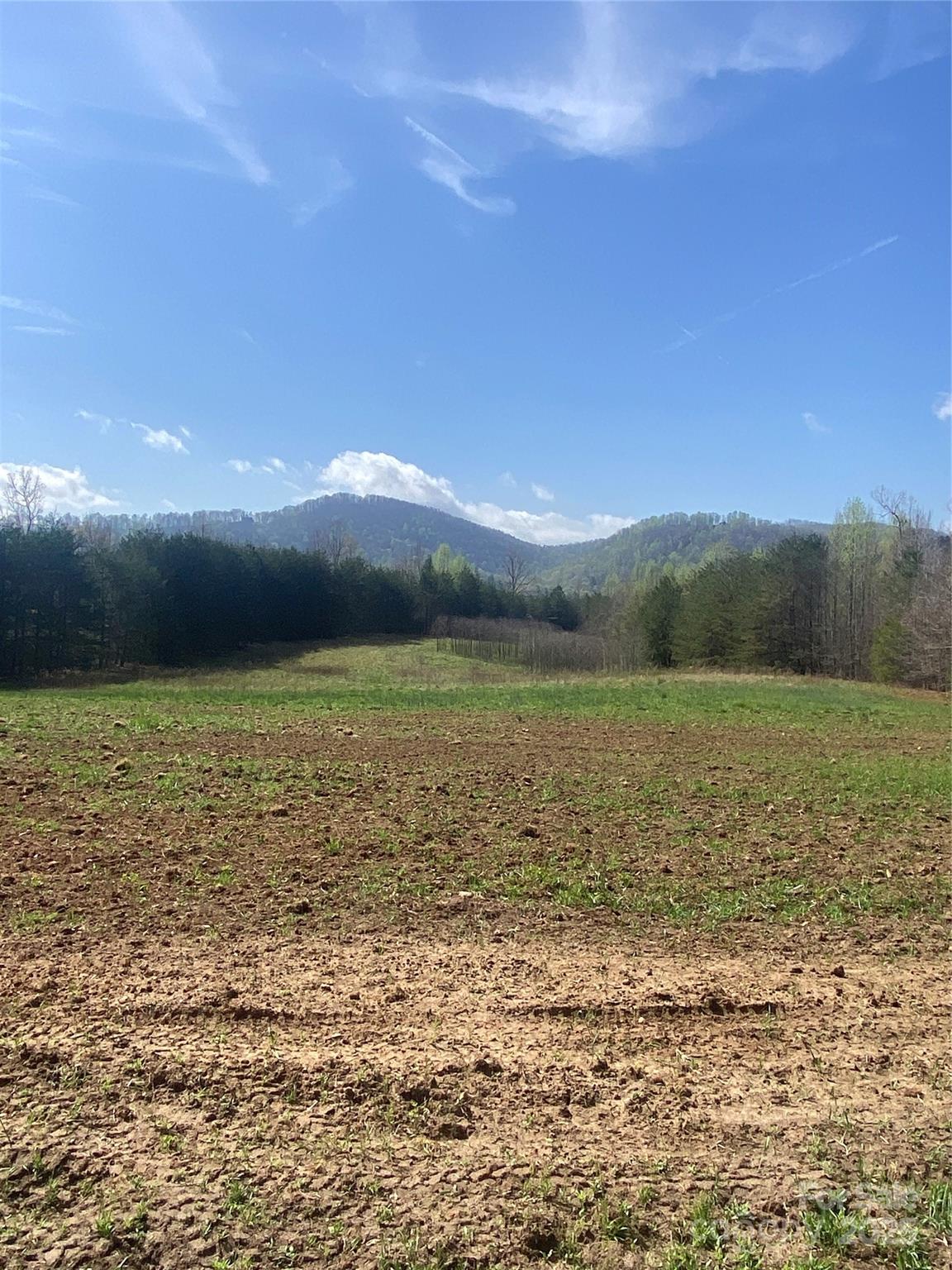 0 Cane Creek Mountain Road Property Photo