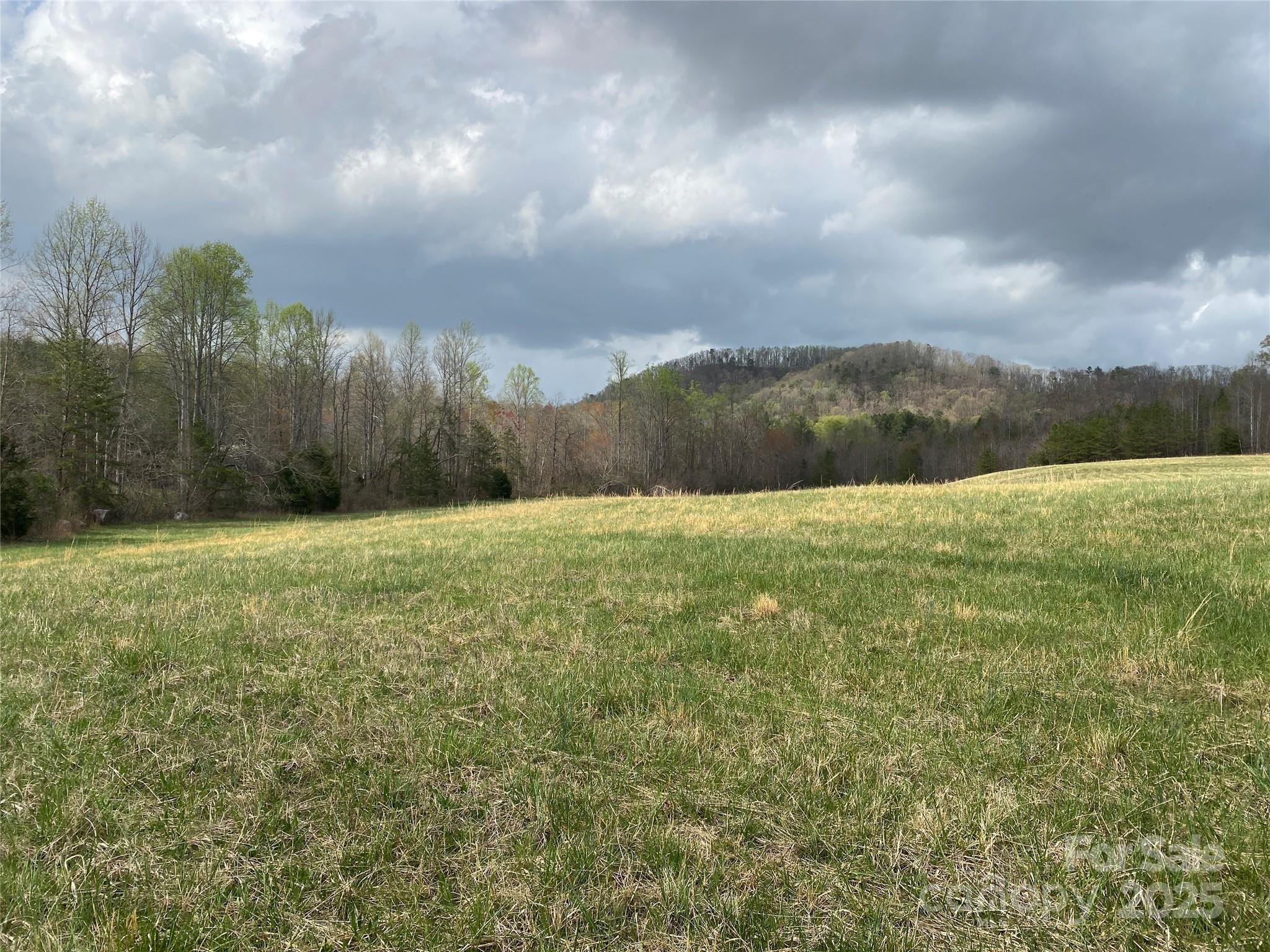 0 Cane Creek Mountain Road Property Photo 2
