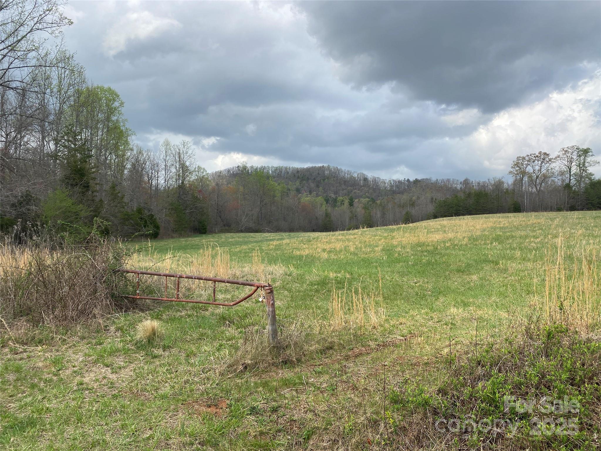 0 Cane Creek Mountain Road Property Photo 3